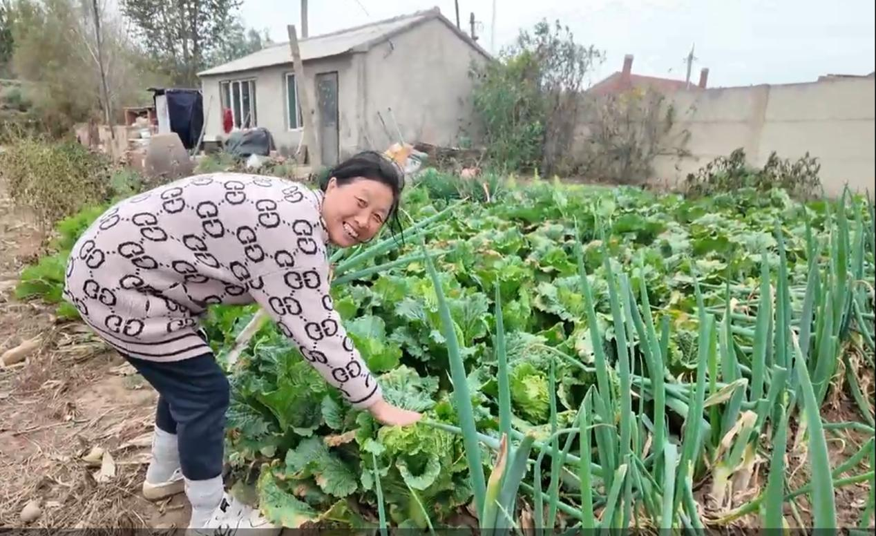 1762499311341814.png 图片1.png